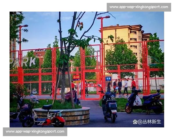专业测评：十大篮球公园场地对比与推荐